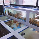 강구외과의원 이미지