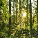 느린하루 이미지