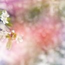 신곡경희한의원 이미지