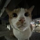 성림치과의원 이미지