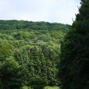 얼수(水)명촌화순사우나 | 제주도 야영, 5박 6일(하이킹 극소량)