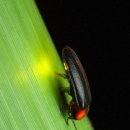 의정부정보도서관 이미지