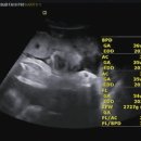 미즈맘산부인과의원 이미지