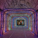 문경 오미자테마터널 이미지