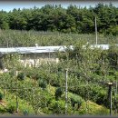 사암농장 이미지