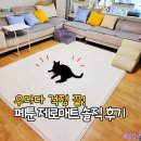 페툰 제로매트 솔직 후기, 12살 고양이 집사가 미끄럼방지매트 찾은 이유