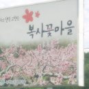 삼교리원조동치미막국수 이미지
