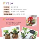 힐링원예 가드닝 이미지