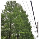 삼안공원 이미지