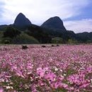 진안농협주유소 이미지