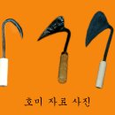 진도특산 Daum카페
