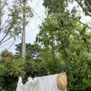 강동로6-6 이미지