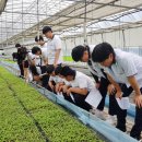 제일고등학교 이미지