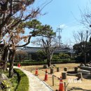 황토마당 이미지