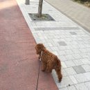 가양종합동물병원