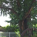 이재형농장 이미지