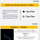 하나의료기 | 올리라이프 테라헤르츠파 의료기 체험 후기