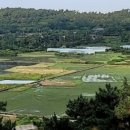 이동균행정사사무소 이미지