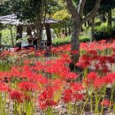 산림욕장 이미지