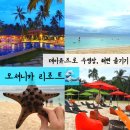오세분농장 | 보홀 오셔니카 리조트 데이유즈 후기, 팡라오 해변 에메랄드 빛깔 실화?