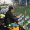 경춘낚시터 이미지