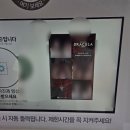 엘지마그나이파워트레인 | 뮤지컬 드라큘라 시즌첫 후기 | 전동석, 박지연...이예은, 지원선 | LG아트센터 SIGNITURE홀 1층 1열...