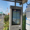 뚜벅이 | 제주도 뚜벅이로 다녀온 후기, 경비, 일정 정리