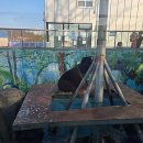 쥬쥬랜드 이미지