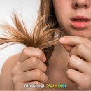 미용커트 이미지