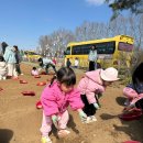 마곡11 나무햇살어린이집 이미지