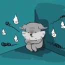 지 동물병원 이미지