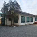 서산 대산 맛집 청솔농원 토종닭 백숙 내돈내산 후기