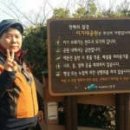 금강송행정사사무소 네이버블로그