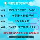 굿나이스투어