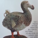 도도무역 - 216630 | 도도무역