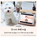 로얄캐닌코리아(유)