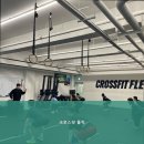 크로스핏 플릭 이미지
