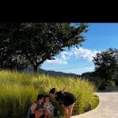 호화로이 이미지