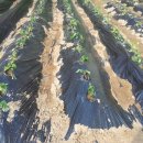 우애농장 이미지