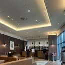 포포인츠바이쉐라톤호텔명동 | 포포인츠 바이 쉐라톤 명동 호텔 1박 후기 🏨 | 서울 중구 호텔 조식 뷔페 솔직 리뷰