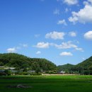 석천2 Daum카페