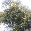 민균농장 이미지