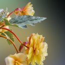 오늘은 음표 이미지