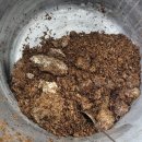 병일농장 이미지