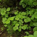 일월민박 이미지