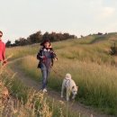 숲길민박 이미지