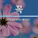 하나 EPS 이미지