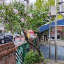 석산경로당 이미지