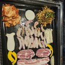 3돈한마리