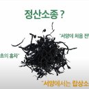 찰스네 감귤